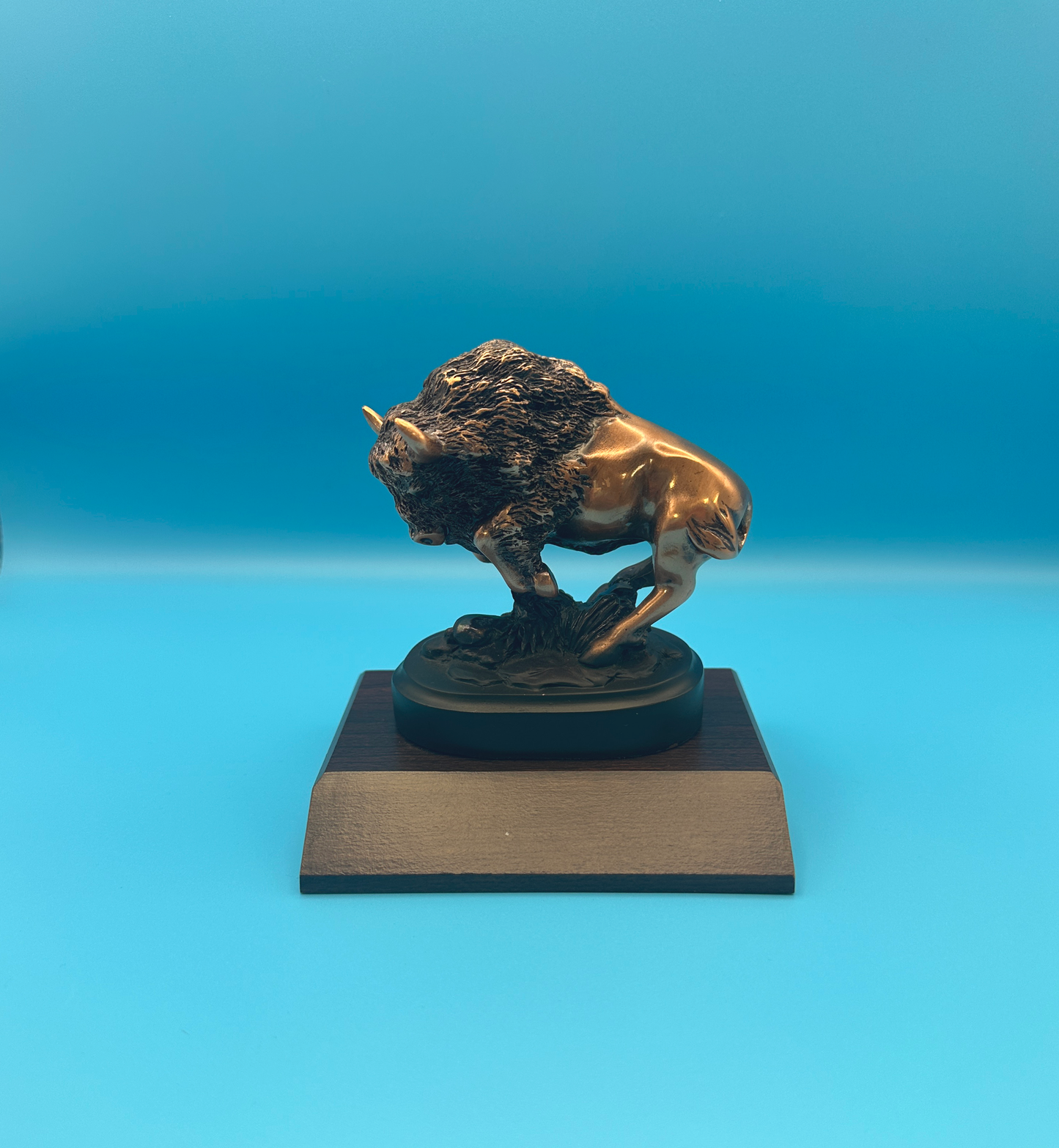 Bronze Small Bison Award