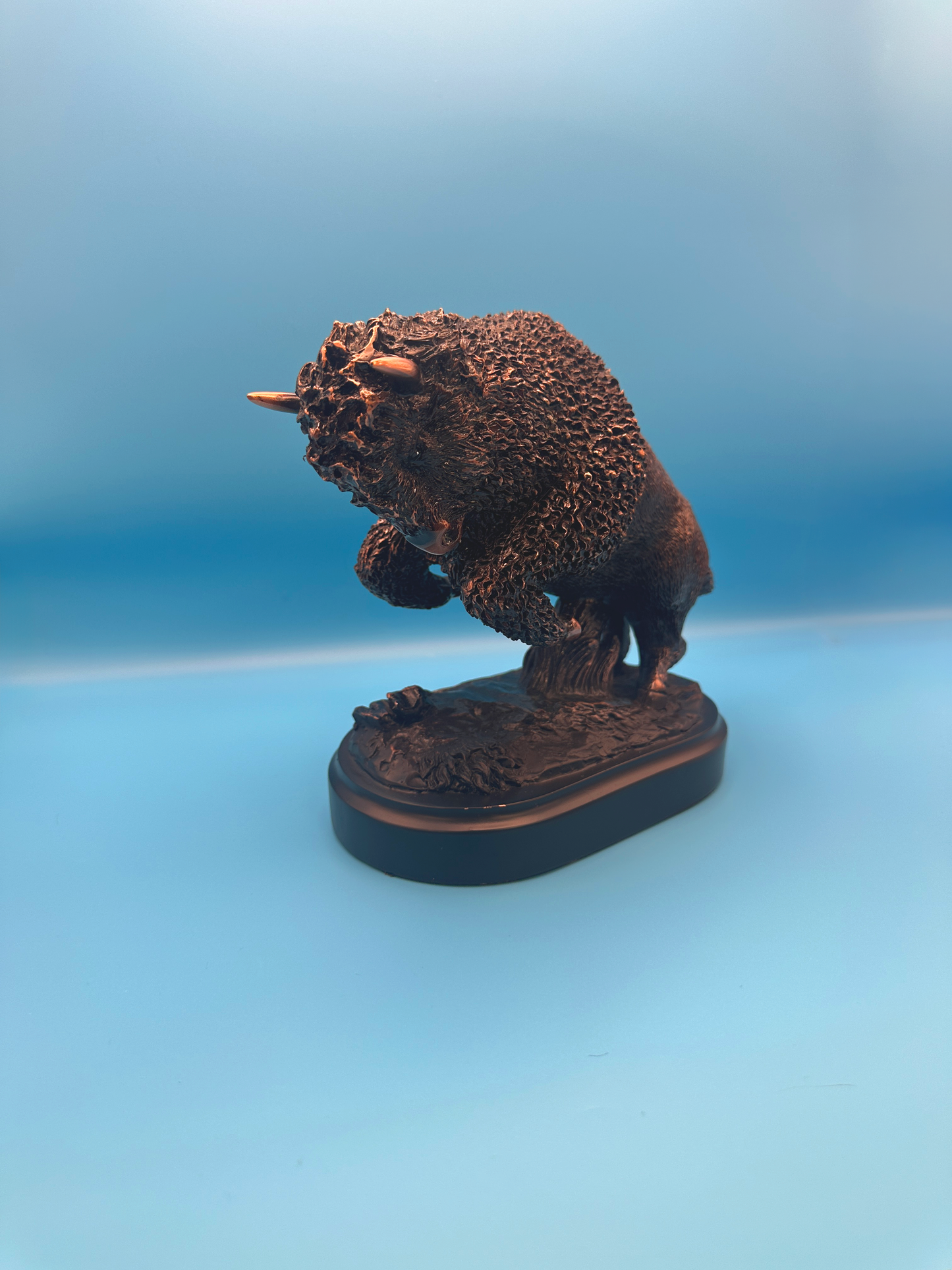 Bronze Medium Bison Award