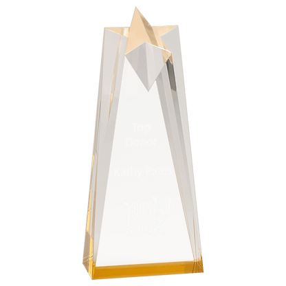 Sculpted Star Acrylic Award