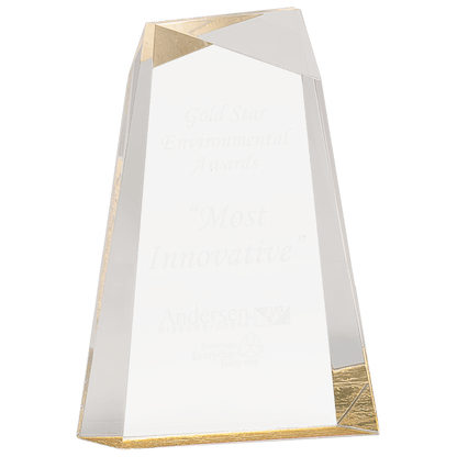 Facet Wedge Acrylic Award