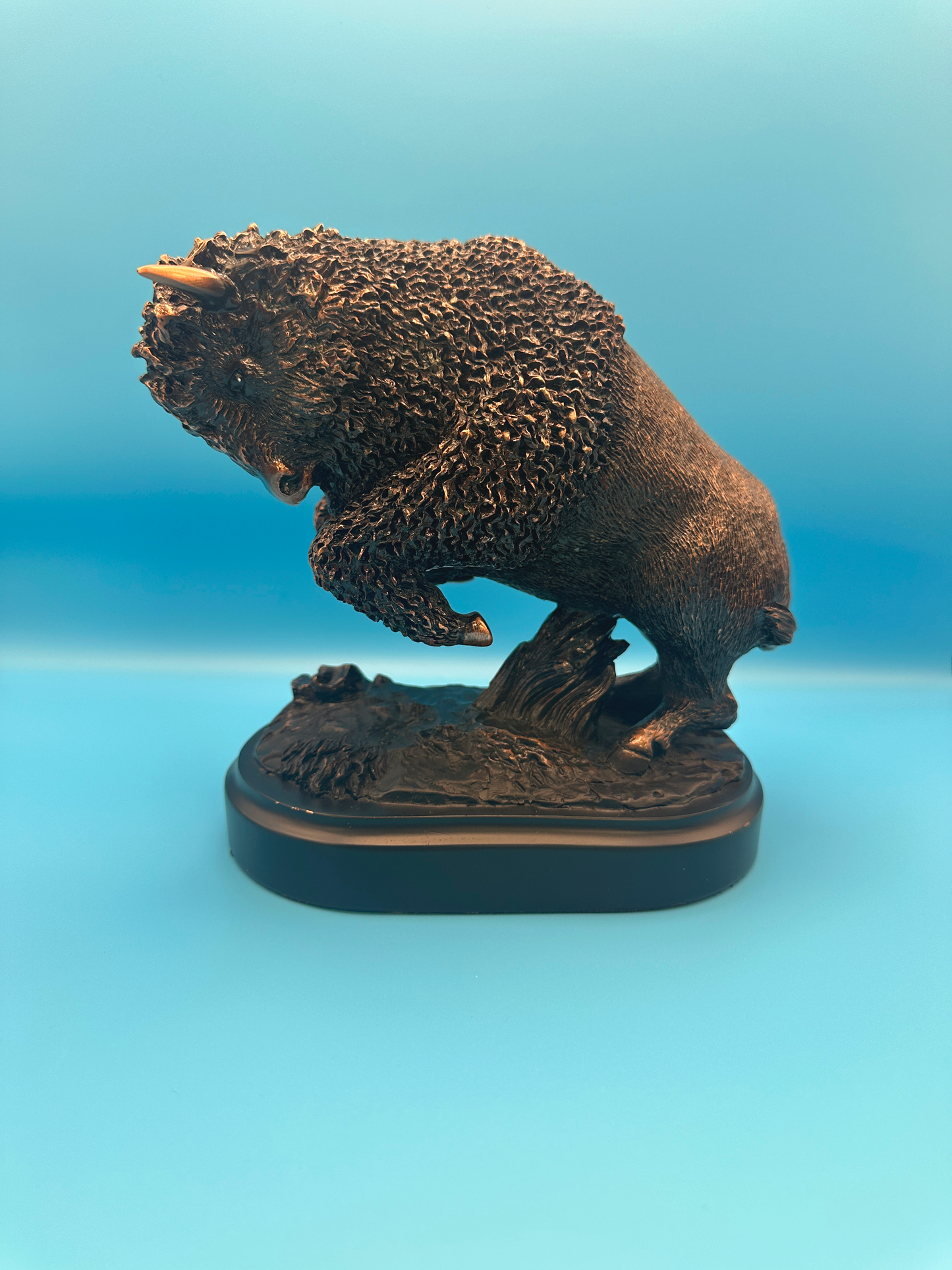 Bronze Medium Bison Award
