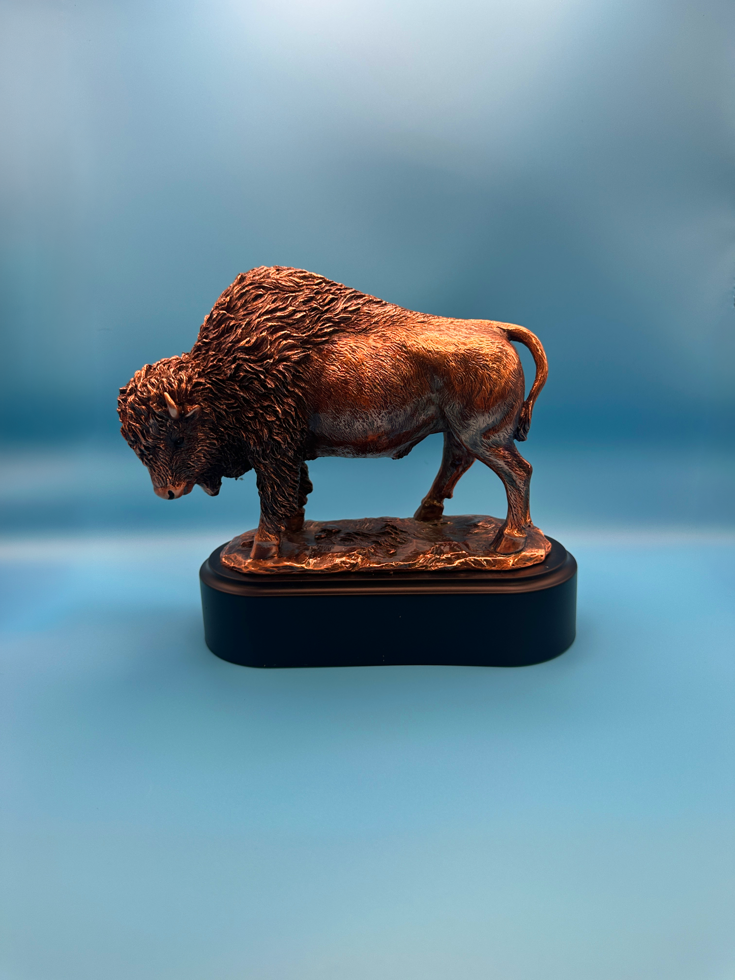 Bronze Medium Bison Award