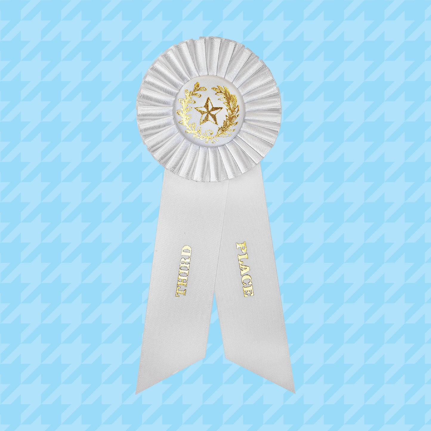 3rd Place!