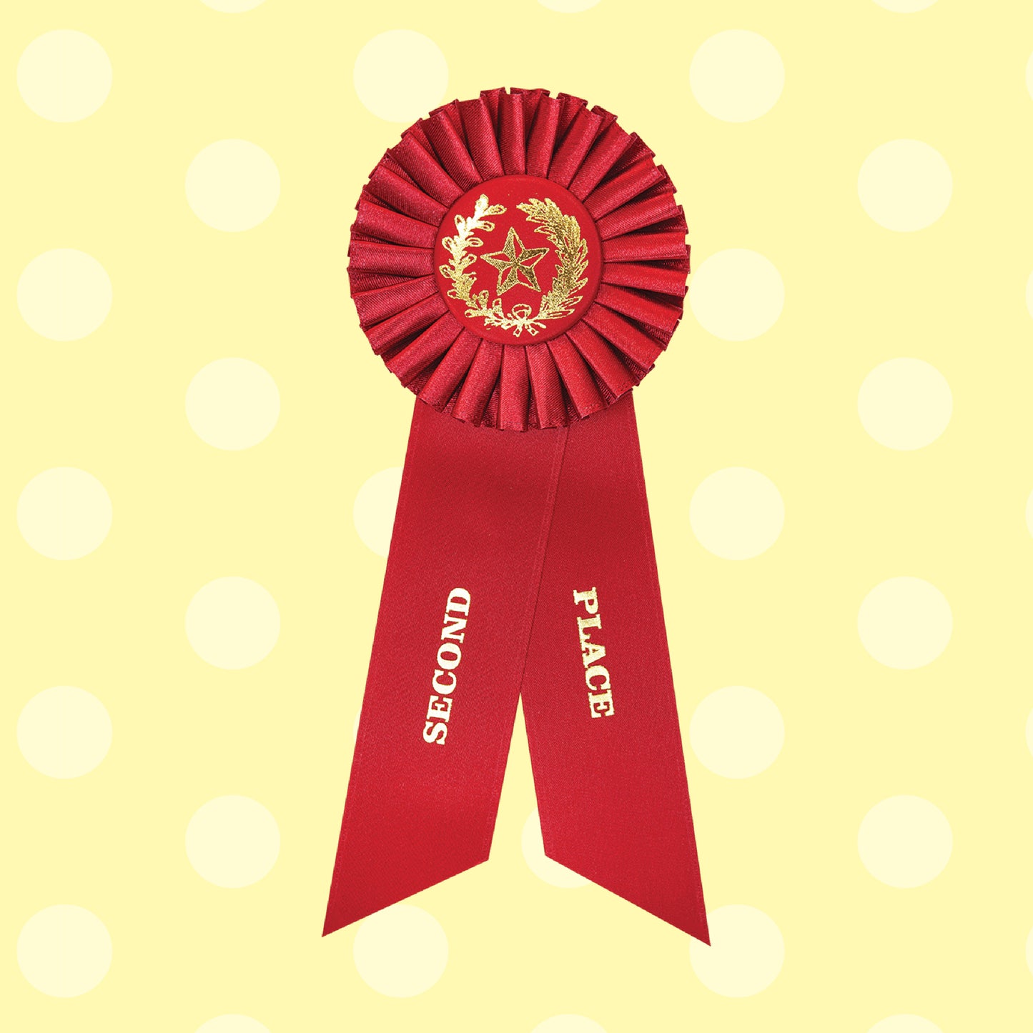 2nd Place!