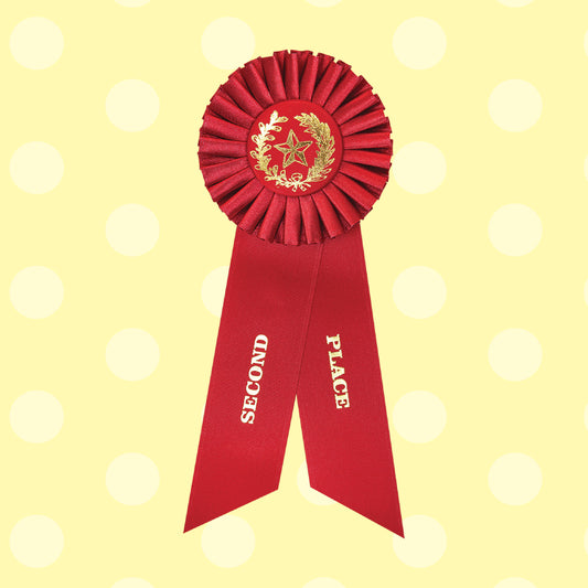 2nd Place!